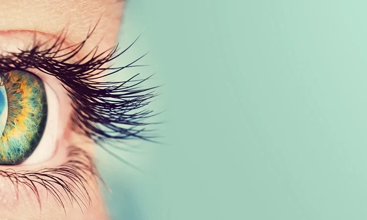 Zobacz świat bez wad